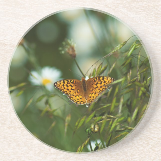 Pacific Fritillary Butterfly Coaster (Front)
