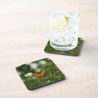 Pacific Fritillary Butterfly Drink Coaster