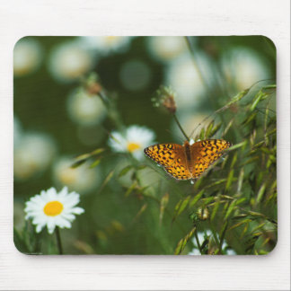 Pacific Fritillary Butterfly Mouse Pad