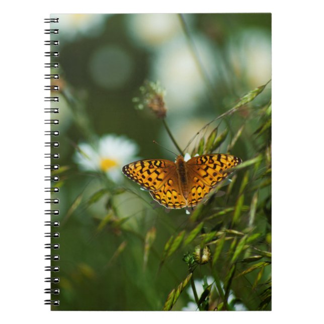 Pacific Fritillary Butterfly Notebook (Front)