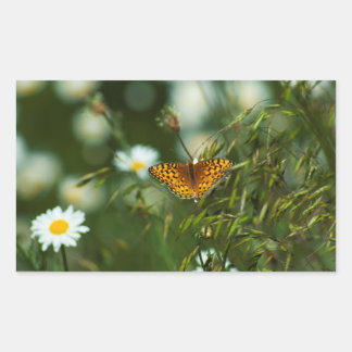 Pacific Fritillary Butterfly Rectangular Sticker