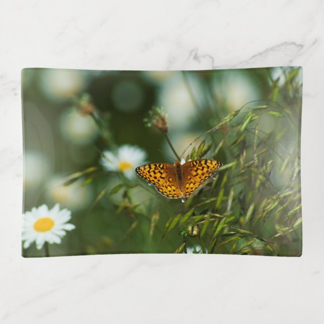 Pacific Fritillary Butterfly Trinket Tray (Front)