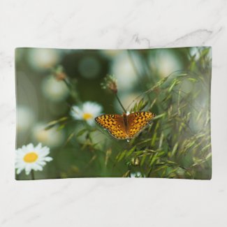 Pacific Fritillary Butterfly Trinket Trays