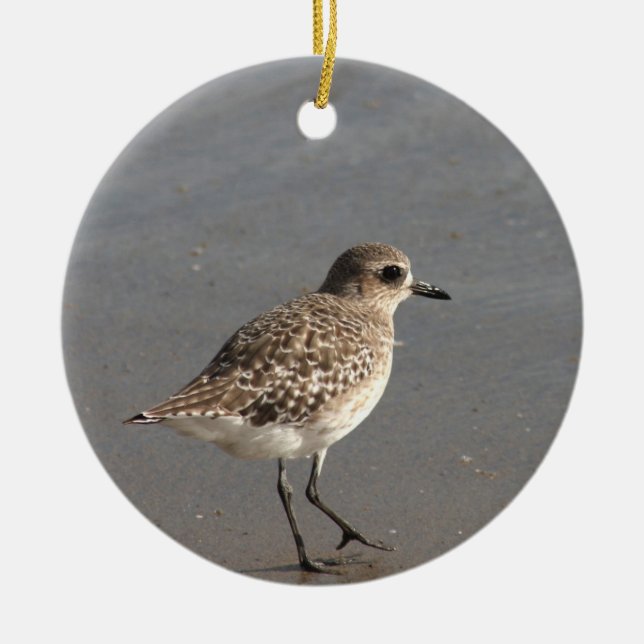 Pacific Golden Plover Ceramic Ornament (Front)