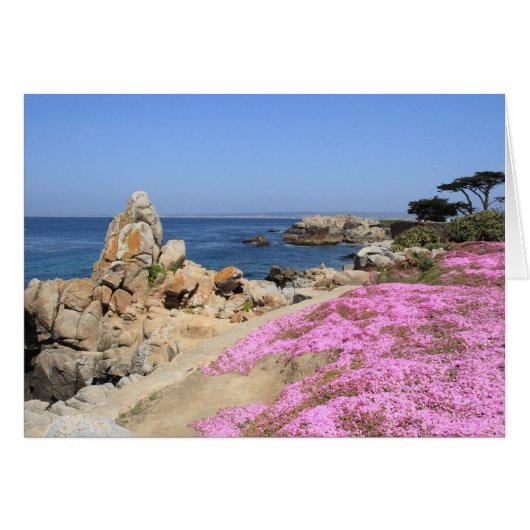Pacific Grove Cards (Front Horizontal)