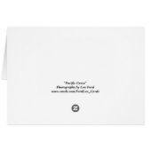 Pacific Grove Cards (Back Horizontal)