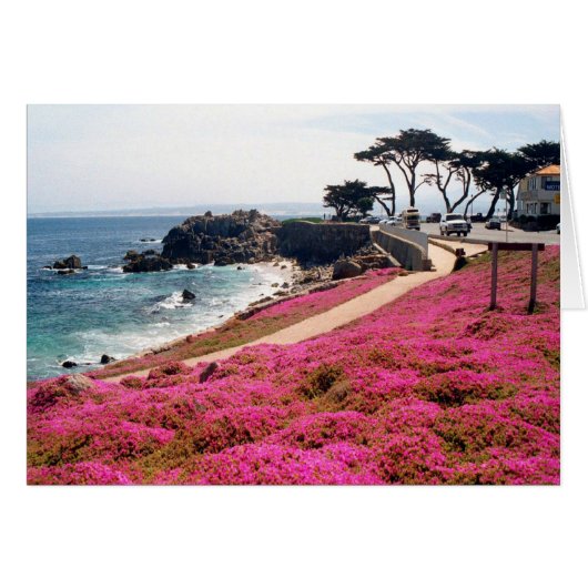 Pacific Grove-Monterey Calif Cards (Front Horizontal)