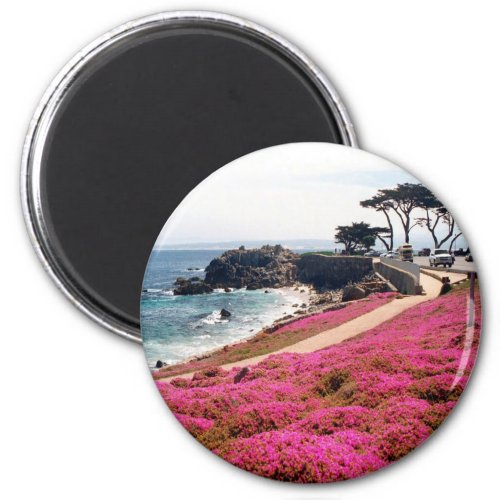 Pacific Grove_Monterey Calif Magnet