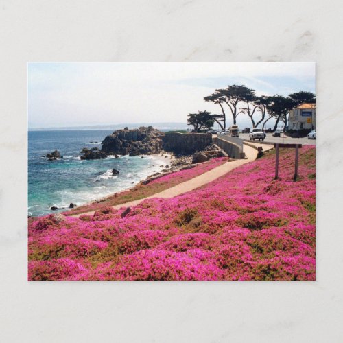 Pacific Grove_Monterey Calif Postcard