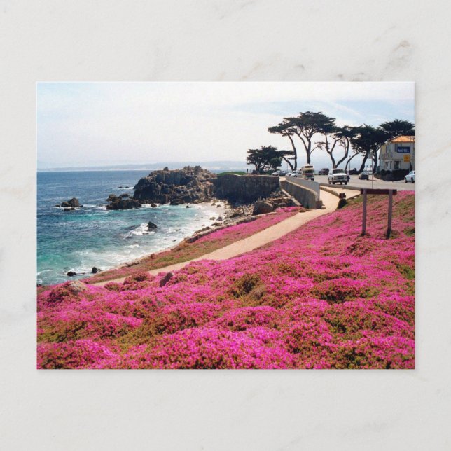 Pacific Grove-Monterey Calif Postcard (Front)