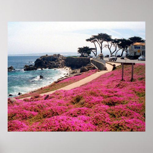 Pacific Grove_Monterey Calif Poster