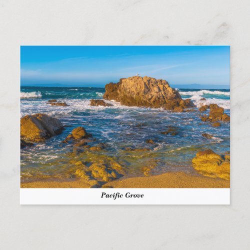 Pacific Grove Postcard
