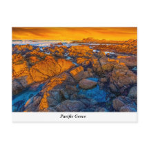 Pacific Grove Postcard