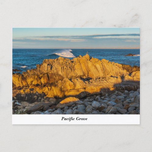 Pacific Grove Postcard