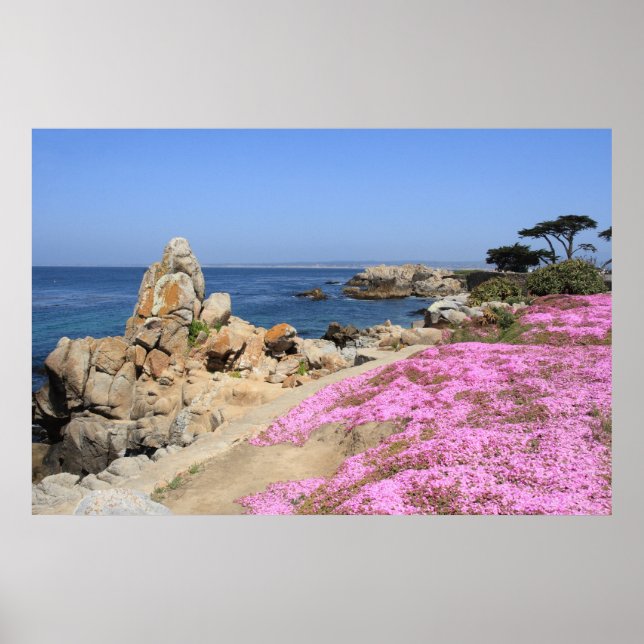 Pacific Grove Poster (Front)