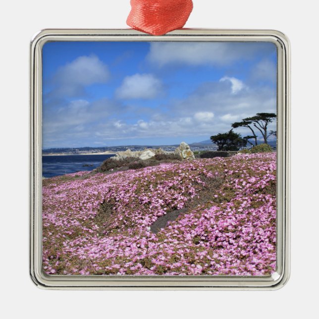 Pacific Grove Purple Carpet Metal Ornament (Front)