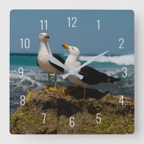 Pacific Gull Bird Beach in Paradise Australia Square Wall Clock