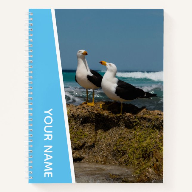 Pacific Gull Bird Sea Ocean Australia, Light Blue Notebook (Front)
