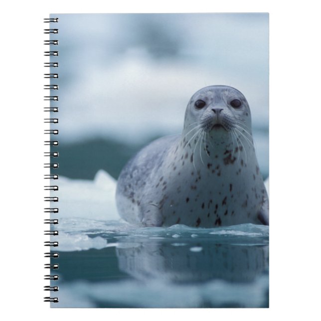 pacific harbor seal, Phoca vitulina richardsi Notebook (Front)