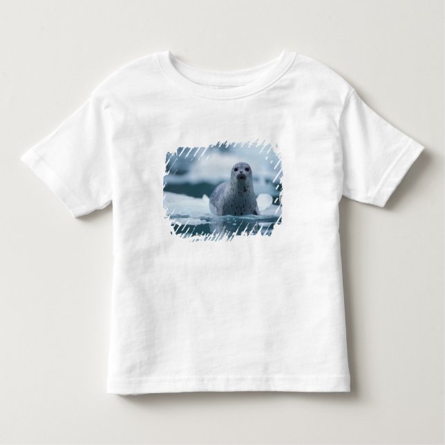 pacific harbor seal, Phoca vitulina richardsi Toddler T-shirt (Front)