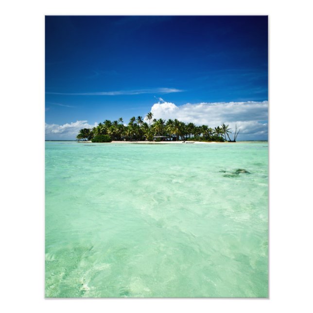 Pacific island with palm trees photo print (Front)