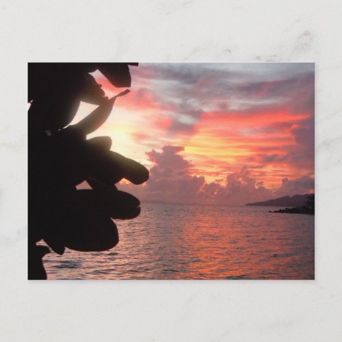 Pacific Islands Atmospheric Sunrise   Postcard
