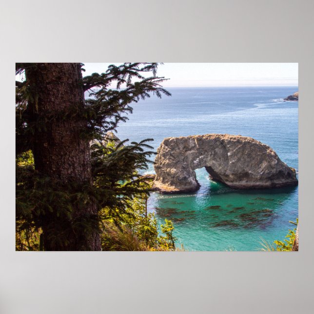 Pacific North West Ocean View Poster (Front)