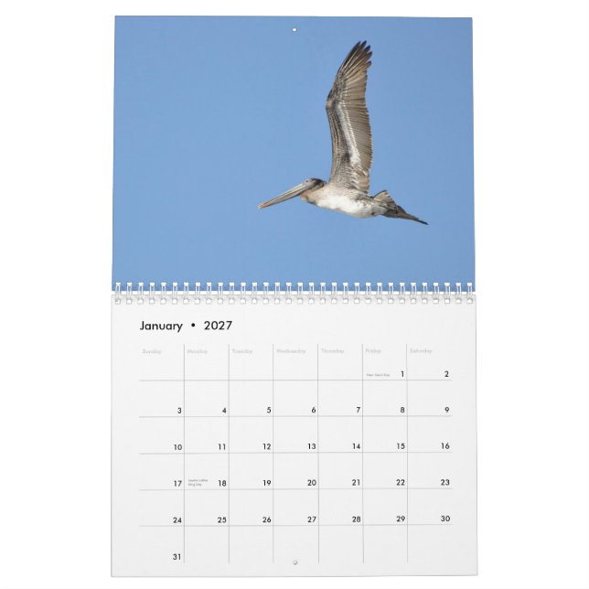Pacific Northwest Birds Calendar (Jan 2027)