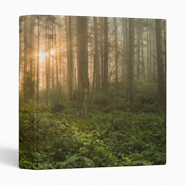 Pacific Northwest Forest | Foggy Morning 3 Ring Binder (Front/Spine)