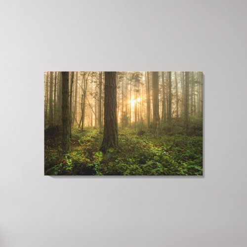 Pacific Northwest Forest  Foggy Morning Canvas Print