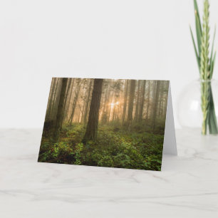 Pacific Northwest Forest Foggy Morning Card