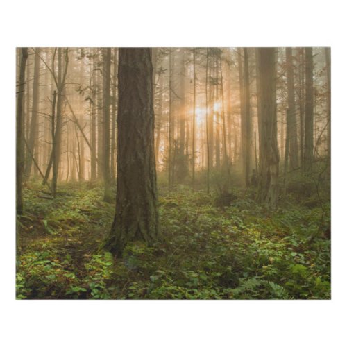 Pacific Northwest Forest  Foggy Morning Faux Canvas Print