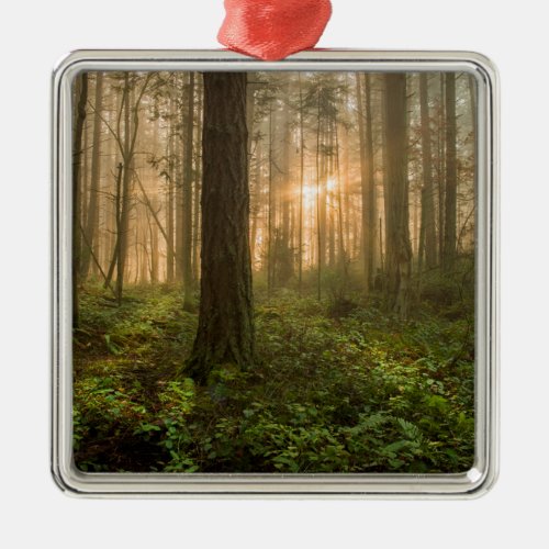 Pacific Northwest Forest  Foggy Morning Metal Ornament