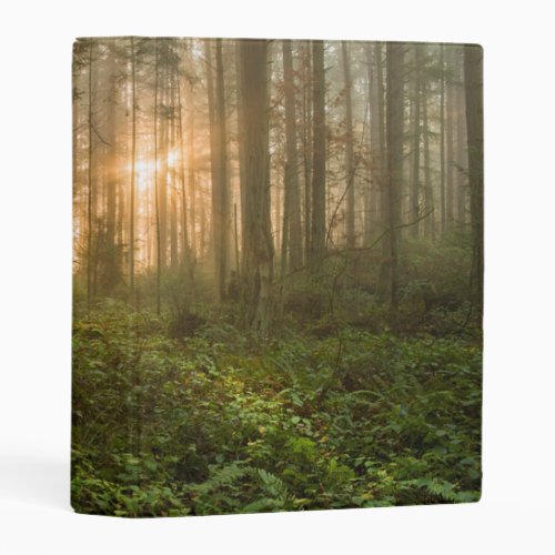 Pacific Northwest Forest  Foggy Morning Mini Binder