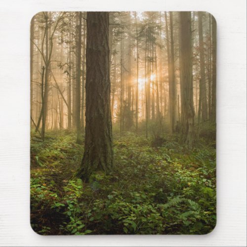 Pacific Northwest Forest  Foggy Morning Mouse Pad