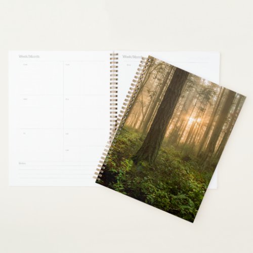 Pacific Northwest Forest  Foggy Morning Planner