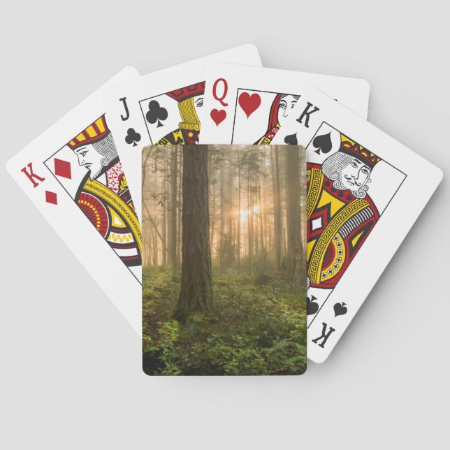 Pacific Northwest Forest | Foggy Morning Poker Cards (Back)