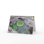 Pacific Northwest Tidepool with Green Anenomes Card