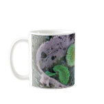 Pacific Northwest Tidepool with Green Anenomes Coffee Mug