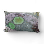 Pacific Northwest Tidepool with Green Anenomes Lumbar Pillow