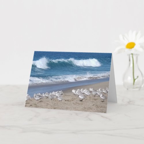 Pacific Ocean and Sanderlings Card