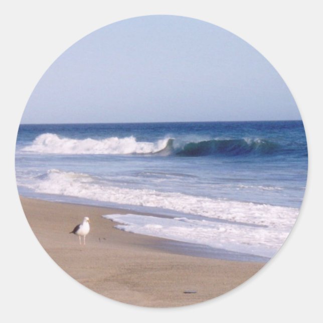 Pacific Ocean Gull Classic Round Sticker (Front)