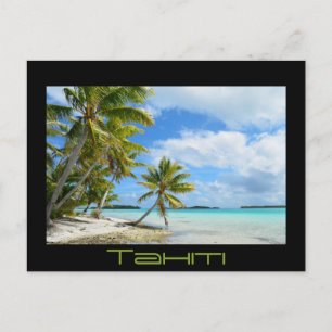 Pacific palm beach black text postcard