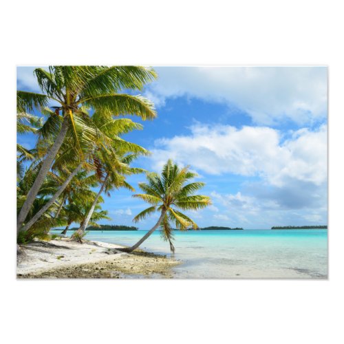 Pacific palm beach photo print