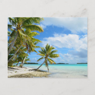 Pacific palm beach postcard