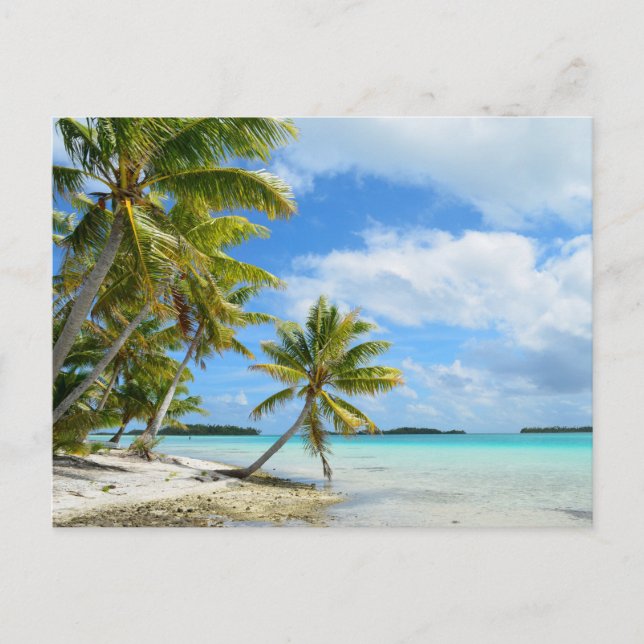 Pacific palm beach postcard (Front)