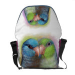 Pacific Parrotlet Parrot Realistic Painting Messenger Bag