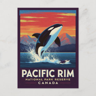 Pacific Rim National Park Orca Breaching Postcard