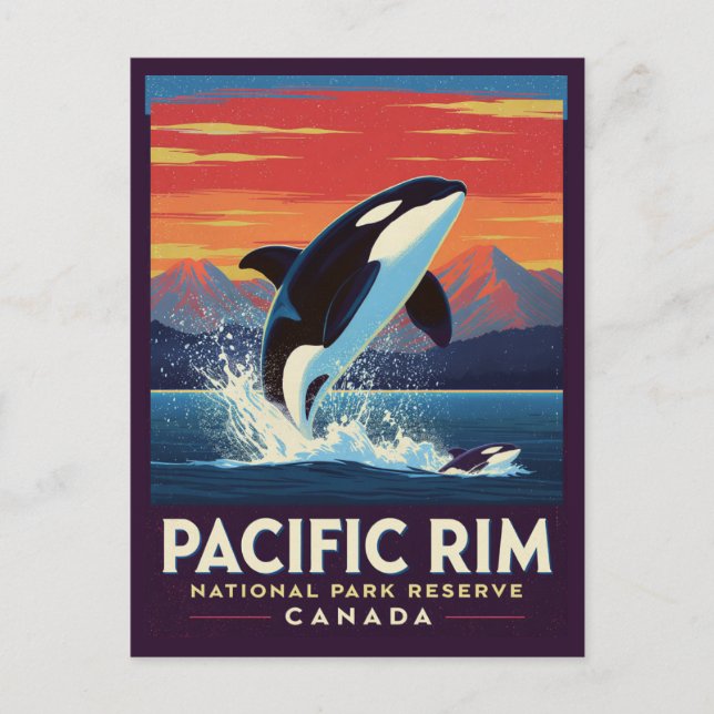 Pacific Rim National Park Orca Breaching Postcard (Front)