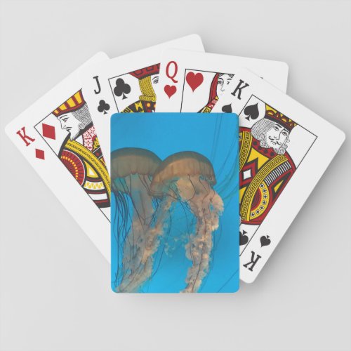 Pacific Sea Nettles Classic Playing Cards